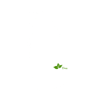 A map marked with Uwa in Sri Lanka