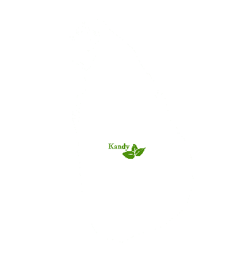 Kandy marked on a Sri Lankan map